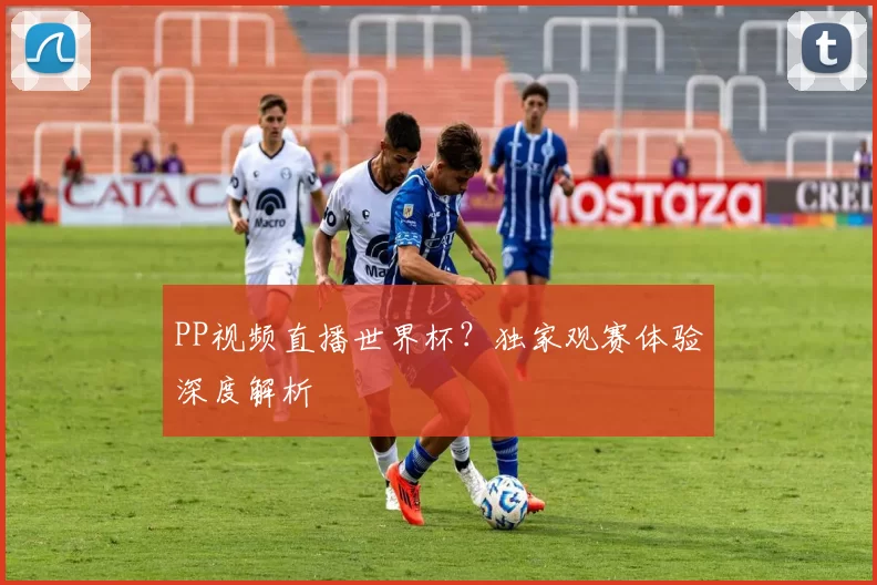 PP视频直播世界杯？独家观赛体验深度解析