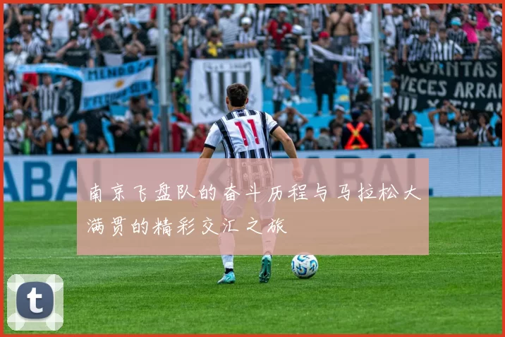 南京飞盘队的奋斗历程与马拉松大满贯的精彩交汇之旅