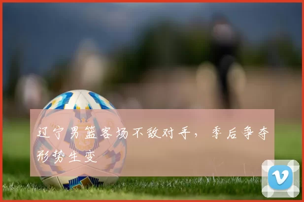 辽宁男篮客场不敌对手,季后争夺形势生变