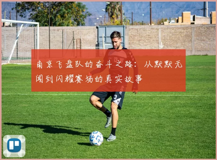 南京飞盘队的奋斗之路：从默默无闻到闪耀赛场的真实故事